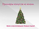 Примеры конусов из жизни