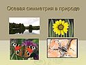 Осевая симметрия в природе