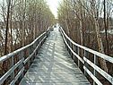 Параллельность двух прямых