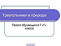 Треугольники в природе