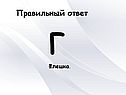 Г Флешка