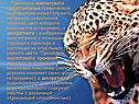 Примером аналогового представления графической информации может