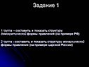 Задание 1