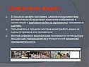 Цифровое видео