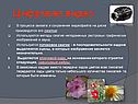 Цифровое видео