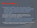 Мультимедиа
