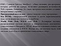 CGI ( Common Gateway Interface) – общее название для программ