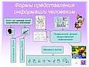 Формы представления информации человеком