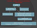 Реформа центрального и местного управления
