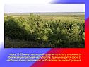 Центральная часть болота