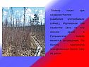 Болото является заповедным