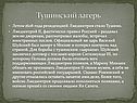 Тушинский лагерь