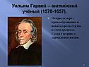 Уильям Гарвей – английский учёный (1578-1657)