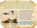 Яйцекладущая рептилия