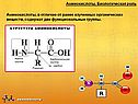 Биологическая роль