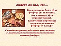 В теле человека более 1,5 кг фосфора