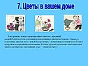 Цветы в вашем доме