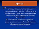 Бронза