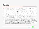 Белок