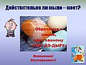 Действительно ли мыло – моет