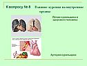Влияние курения на внутренние органы