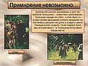 Примирение невозможно