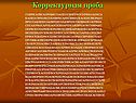 Проба