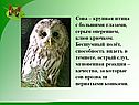 Крупная птица