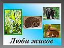 Биография и творчество Пришвина
