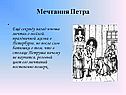 Мечтания Петра