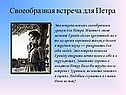 Своеобразная встреча для Петра