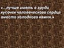 Кусочек человеческого сердца