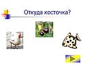 Откуда косточка