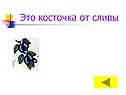 Это косточка от сливы