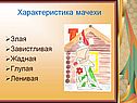 Характеристика мачехи