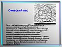Оковский лес