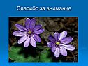 Спасибо за внимание