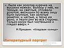 Литературный портрет