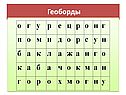 Геоборды