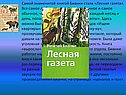 Лесная газета