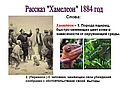 Рассказ "Хамелеон" 1884 год