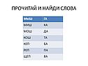 Мыш