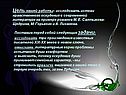 Истоки нравственного оскудения