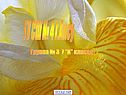ГУ СШ № 4 г.Аксу