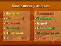 Какие цвета у листьев