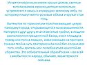 Крыши домов