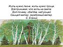 Жить нужно легче