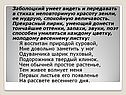Заболоцкий умеет видеть и передавать в стихах неповторимую красоту