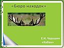 Е.И. Чарушин «Кабан»