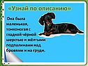 Она была маленькая